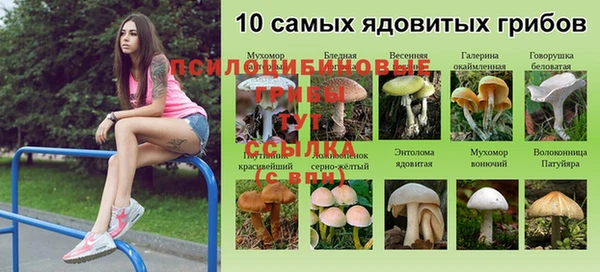 а пвп мука Алзамай