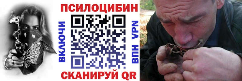 дарнет шоп  Железногорск-Илимский  площадка наркотические препараты  Галлюциногенные грибы мицелий 